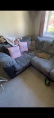 To hate my new sofa..