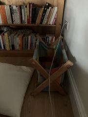 The Very Eventful Lives of the Excellent Cats