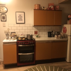 What colour to paint this kitchen?! Any mid century / retro lovers?