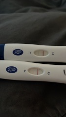 10 dpo to 12dpo lines- worried