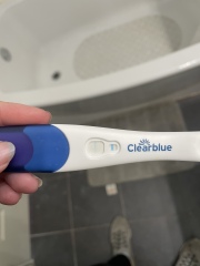 Clear blue test. Evap line or positive