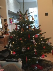 The ultimate SHOW US YOUR TREE megathread!