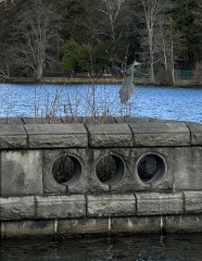 Come and tell me your dull and unexciting news 27: Calmly through the day