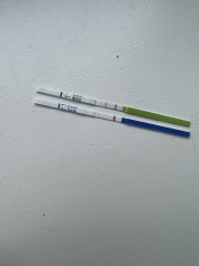 TWW - 2DPO who's with me?