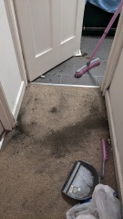 Come and tell me your dull and unexciting news 27: Calmly through the day