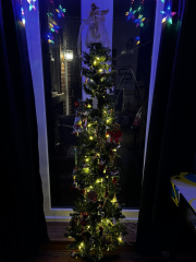 Iv gone and put my tree up