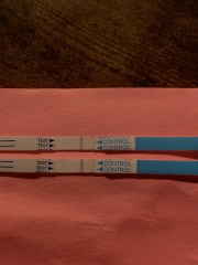 Faint Line or Evaporation Line? I really need help :(