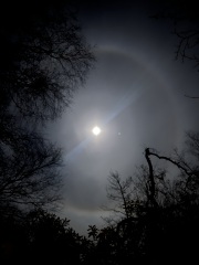 The Moon just now (pic)