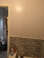What colour for bathroom? Pics included