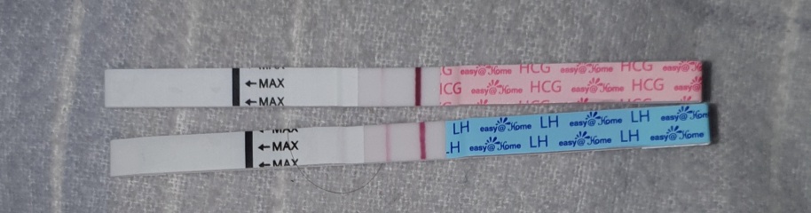 Implantation bleeding?