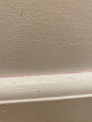 Daily Project Round 4