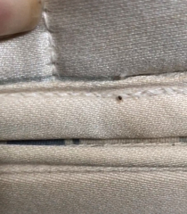 Bed bugs or something else? Pic