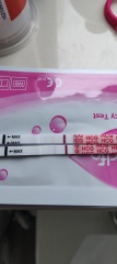 Pregnancy test