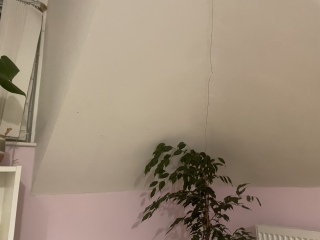Would this crack worry you?