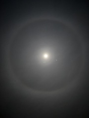The Moon just now (pic)