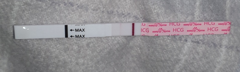 Implantation bleeding?