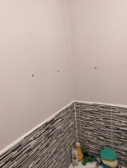 What colour for bathroom? Pics included