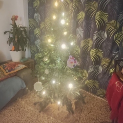 The ultimate SHOW US YOUR TREE megathread!