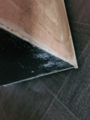 Mould should housing pay for beds