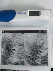 Early scan results