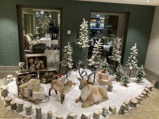 The ultimate SHOW US YOUR TREE megathread!