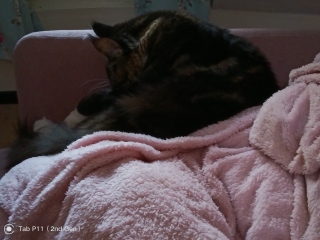 Cancer support thread 91 - don’t borrow tomorrow’s worries