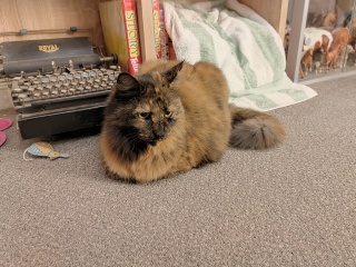Let's see your best "Loaf of Doom" pics!