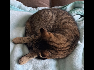 Let's see your best "Loaf of Doom" pics!