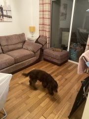 Kitchen and lounge