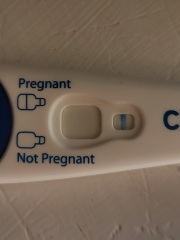Anyone want to give each other support? TTC November 2023 TWW