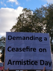 Placards from antisemitic marches in London