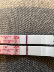 A line eye enthusiast #2