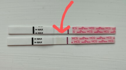 Are these all Evaps on easy at home?