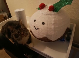 Is it just me or are people putting up the Christmas tree earlier and earlier?