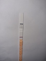 A line eye enthusiast #2