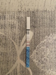 Low peak of 0.63 on Opk, and BBT rise. Did I ovulate?