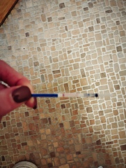 White lines on FRER 11dpo