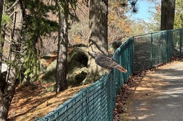 Come and tell me your dull and unexciting news 27: Calmly through the day