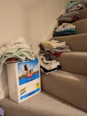 Hand hold - declutter diary