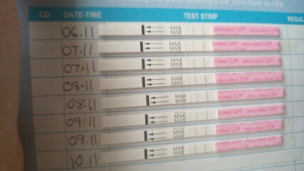 Positive ovulation test?