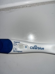 Clear blue test. Evap line or positive