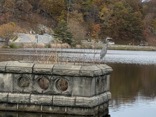 Come and tell me your dull and unexciting news 27: Calmly through the day