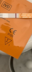 Positive pregnancy test??