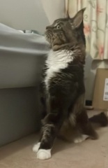 Come and tell me your dull and unexciting news 27: Calmly through the day