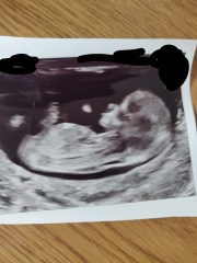 Anyone good at nub theory? Due April.