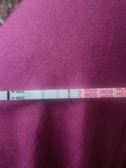 Pregnancy test line progression