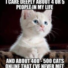 Post your cute kitties 😸