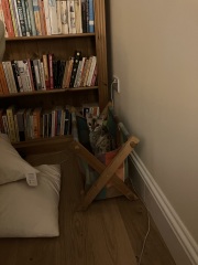 The Very Eventful Lives of the Excellent Cats