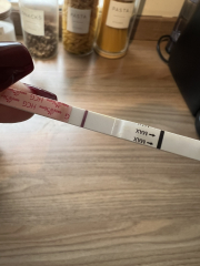 A line eye enthusiast #2