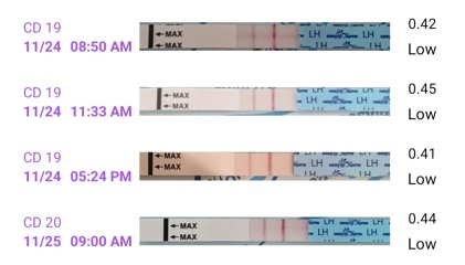 Cd25 unsure about ovulation